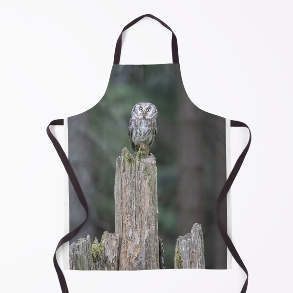 Item preview, Tawny owl on an old tree trunk designed and sold by BCBphotography.