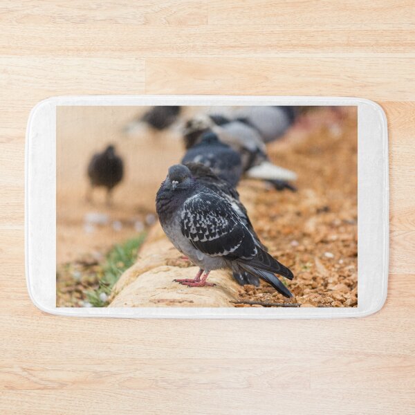 Item preview, Urban Rock Pigeon Standing on Pavement Among a Row of City Birds Close-Up designed and sold by Nmallia.