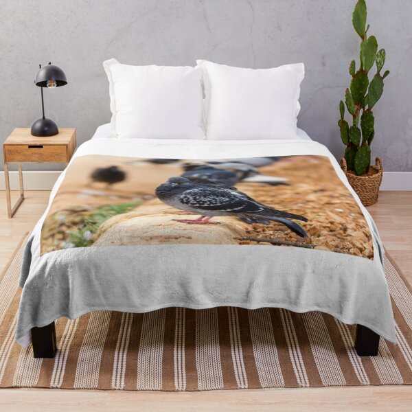 Item preview, Urban Rock Pigeon Standing on Pavement Among a Row of City Birds Close-Up designed and sold by Nmallia.