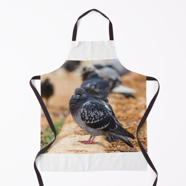 Item preview, Urban Rock Pigeon Standing on Pavement Among a Row of City Birds Close-Up designed and sold by Nmallia.