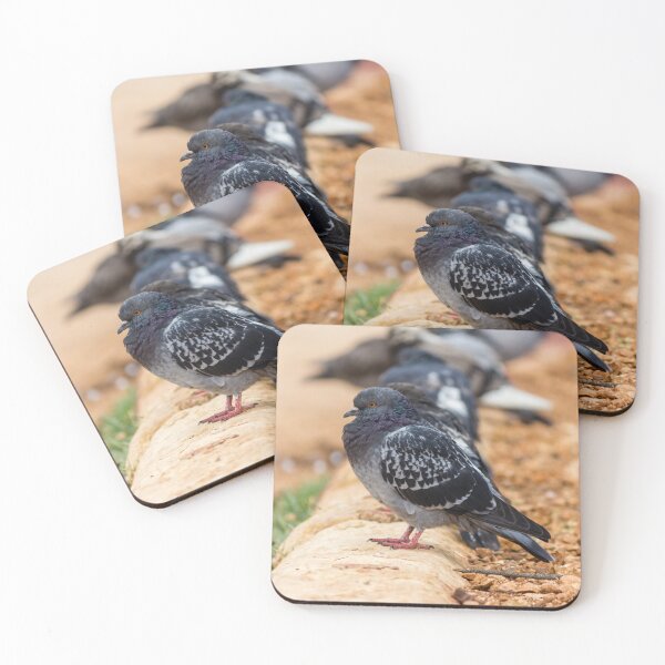 Item preview, Urban Rock Pigeon Standing on Pavement Among a Row of City Birds Close-Up designed and sold by Nmallia.