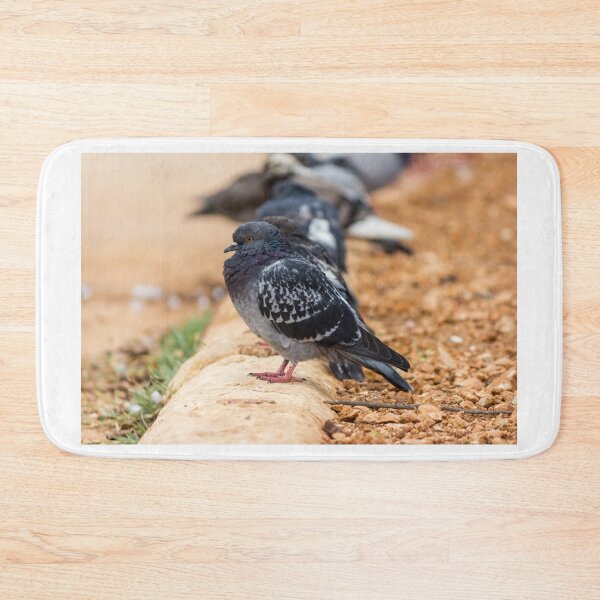 Item preview, Urban Rock Pigeon Standing on Pavement Among a Row of City Birds Close-Up designed and sold by Nmallia.