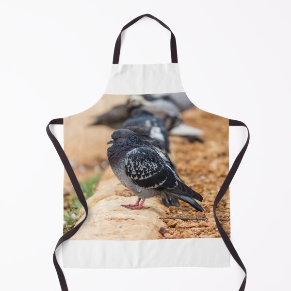 Item preview, Urban Rock Pigeon Standing on Pavement Among a Row of City Birds Close-Up designed and sold by Nmallia.