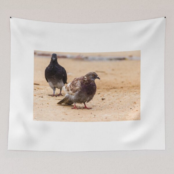 Item preview, Urban Rock Pigeon Standing on Pavement Among a Row of City Birds Close-Up designed and sold by Nmallia.
