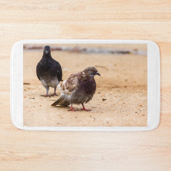 Item preview, Urban Rock Pigeon Standing on Pavement Among a Row of City Birds Close-Up designed and sold by Nmallia.