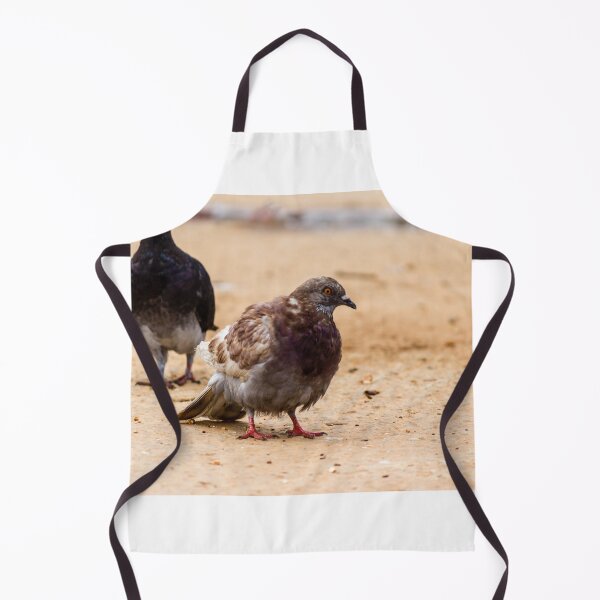 Item preview, Urban Rock Pigeon Standing on Pavement Among a Row of City Birds Close-Up designed and sold by Nmallia.