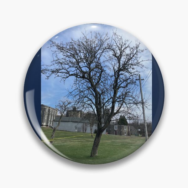 Item preview, Old Apple Tree designed and sold by Amanda1775.