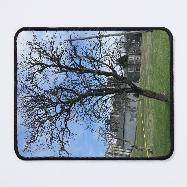 Item preview, Old Apple Tree designed and sold by Amanda1775.