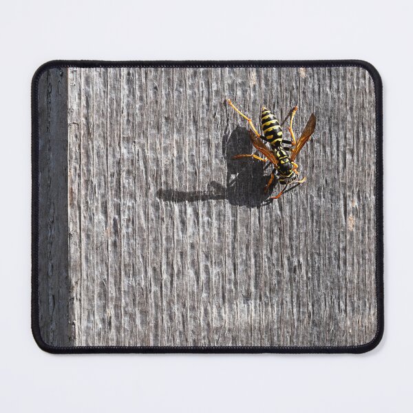 Item preview, Yellow Jacket and its shadow sidelit on a wooden post designed and sold by lisavonbiela.