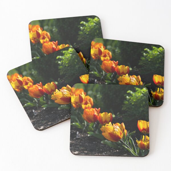 Item preview, Diagonal row of backlit orange and yellow tulips designed and sold by lisavonbiela.