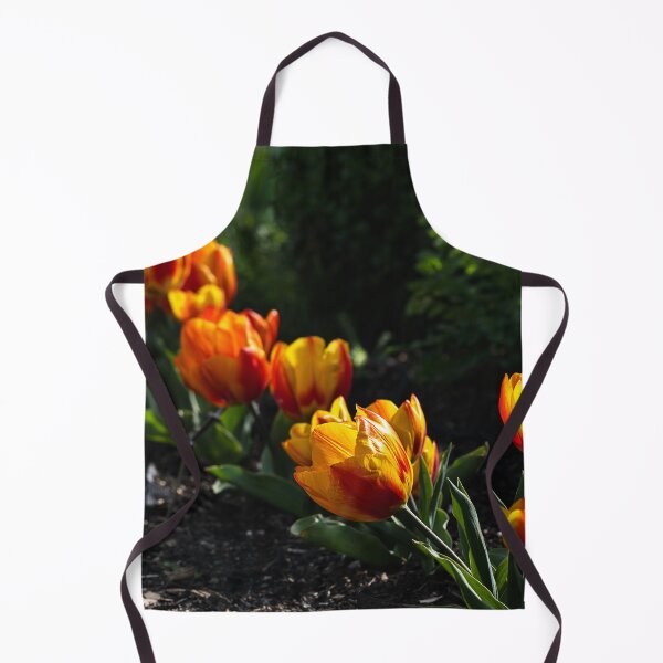 Item preview, Diagonal row of backlit orange and yellow tulips designed and sold by lisavonbiela.