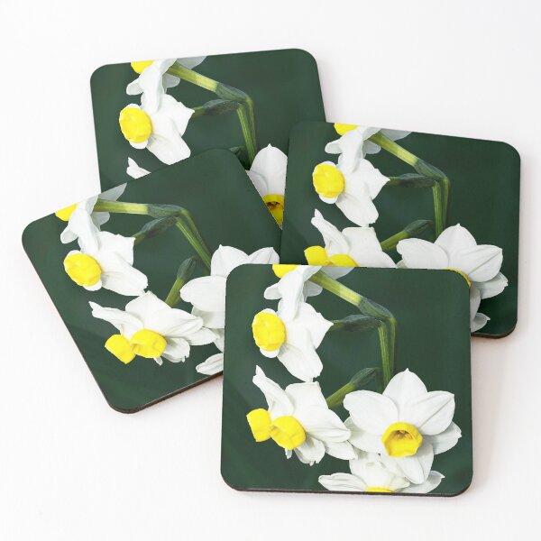 Item preview, Closeup of cluster of miniature yellow and white daffodils designed and sold by lisavonbiela.