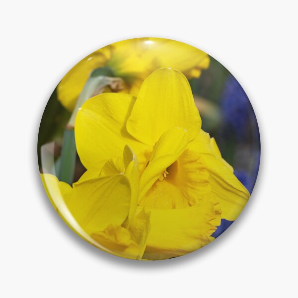 Item preview, Yellow daffodils with grape hyacinth background designed and sold by lisavonbiela.