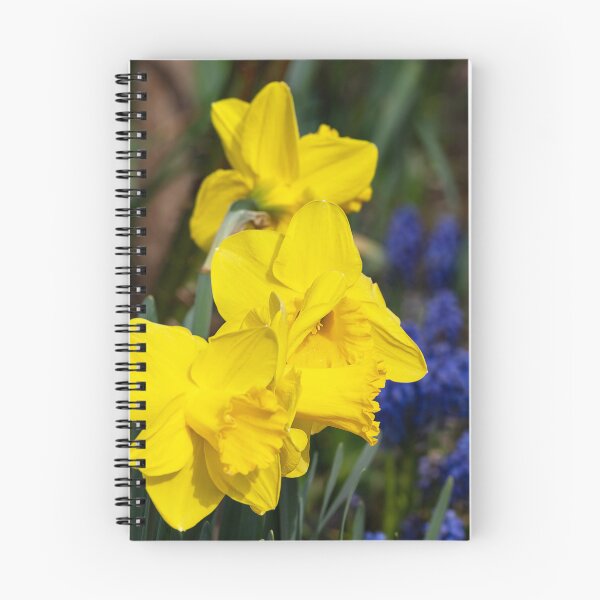 Item preview, Yellow daffodils with grape hyacinth background designed and sold by lisavonbiela.
