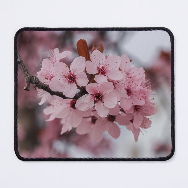 Item preview, Pink plum blossoms designed and sold by MS.photo.