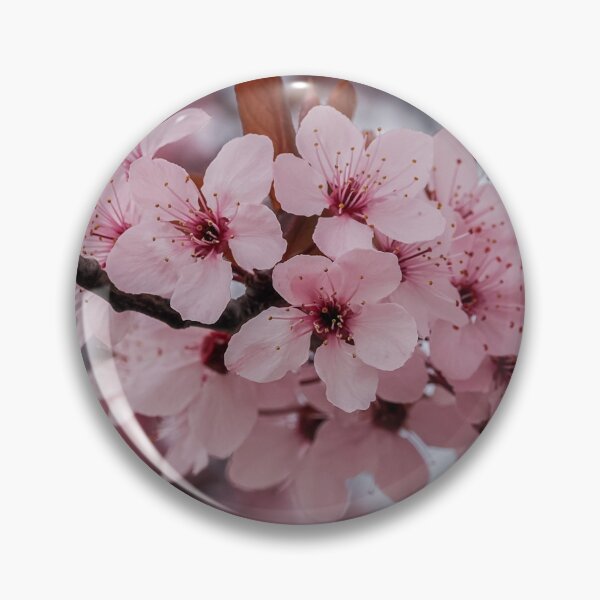 Item preview, Pink plum blossoms designed and sold by MS.photo.