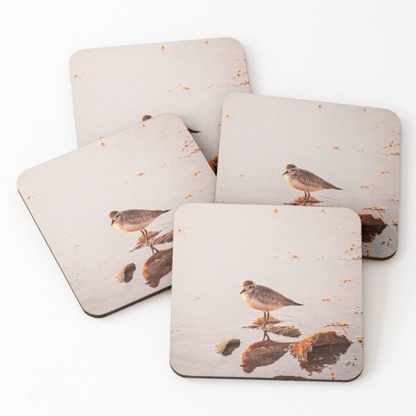 Item preview, Small Shorebird Standing in Shallow Water designed and sold by Rosemarie Guieb Designs.