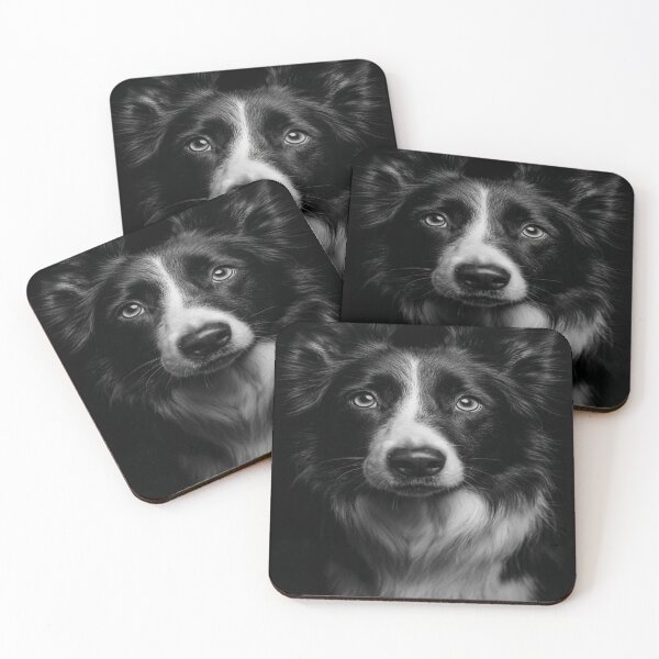 Item preview, Intense Border Collie Dog Portrait Black White designed and sold by NicolasGlowArt.