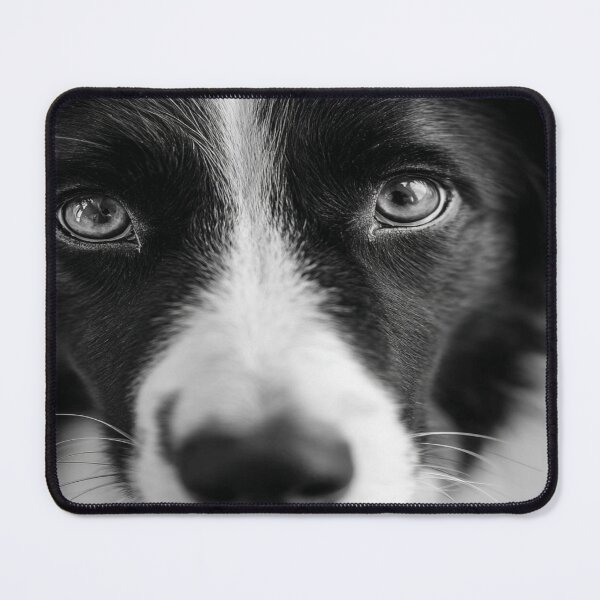 Item preview, Intense Border Collie Dog Face Black White Art designed and sold by NicolasGlowArt.