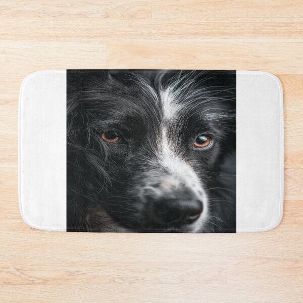 Item preview, Captivating Border Collie Dog Face Portrait designed and sold by NicolasGlowArt.