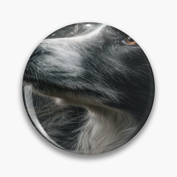 Item preview, Majestic Border Collie Dog Portrait designed and sold by NicolasGlowArt.