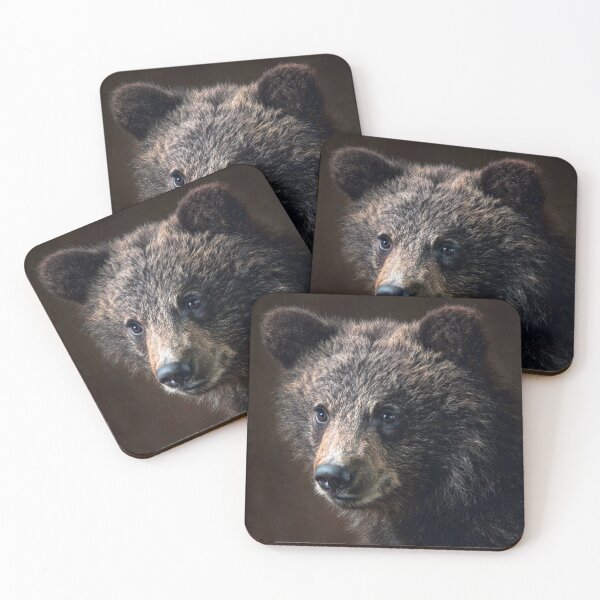 Item preview, Bear designed and sold by Savannah Gibbs.