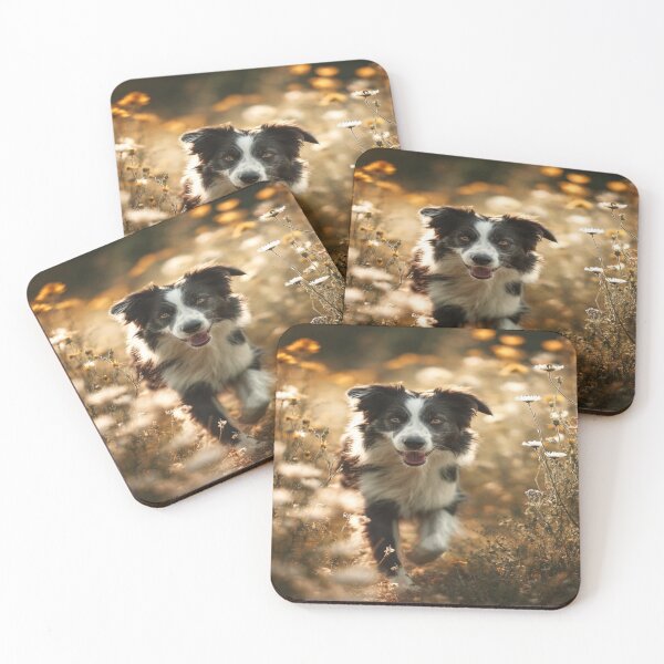 Item preview, Happy Border Collie Dog Running in Wildflower Field designed and sold by NicolasGlowArt.