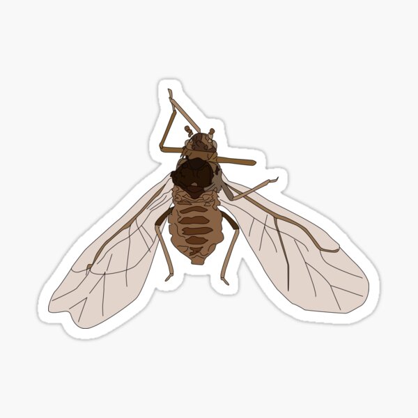 The Mighty Aphid Sticker