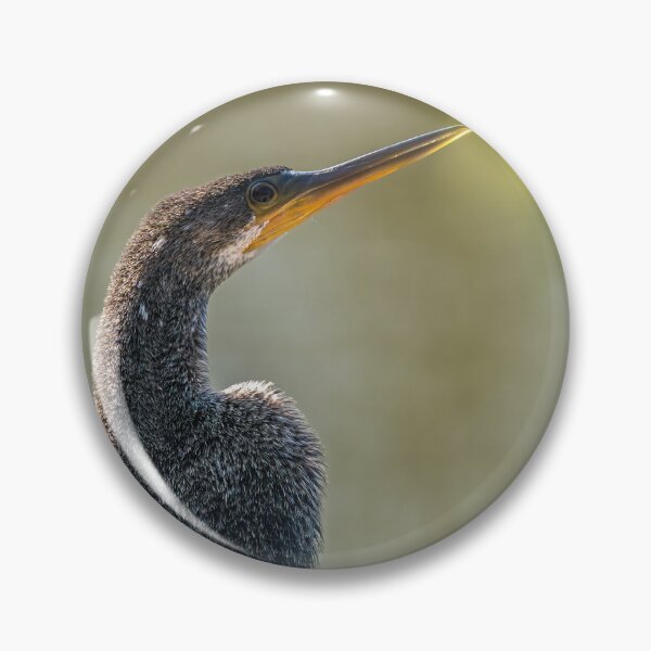 Item preview, Anhinga Profile Portrait designed and sold by Debra Martz.