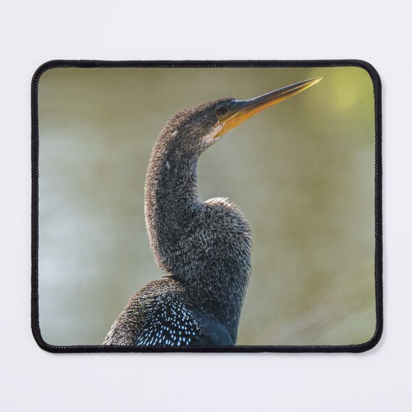 Item preview, Anhinga Profile Portrait designed and sold by Debra Martz.