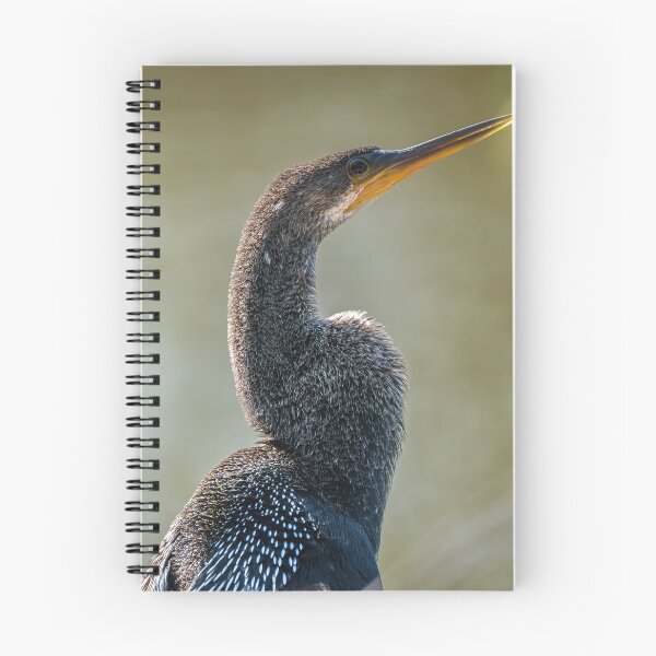 Item preview, Anhinga Profile Portrait designed and sold by Debra Martz.