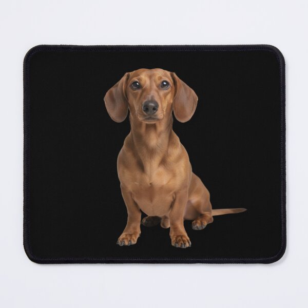 Item preview, Dachshund Motif Complete  designed and sold by Markusa84.