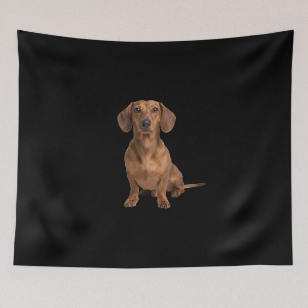 Item preview, Dachshund Motif Complete  designed and sold by Markusa84.