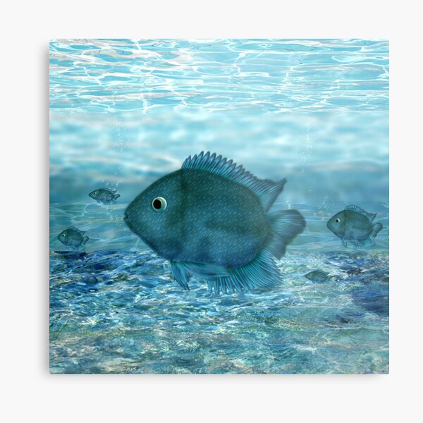 Blue fish... Metal Print