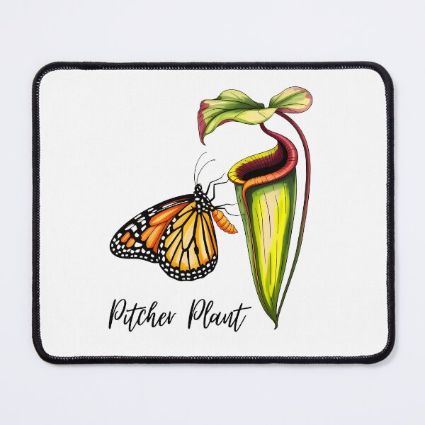 Item preview, Carnivorous Pitcher Plant with Butterfly – Exotic Botanical Illustration designed and sold by ArcticFoxStudio.