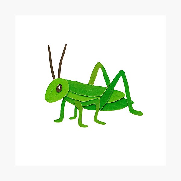 Item preview, Grasshopper, Adorable Animals Series Paper Collage Kids Illustration  designed and sold by SWSandraWechner.