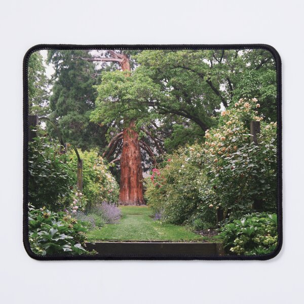 Item preview, Wanaka Steps designed and sold by Larry Davis.