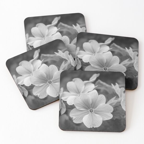 Item preview, Ethereal Primrose: A Study in Soft Monochrome designed and sold by ShaneJayGB.
