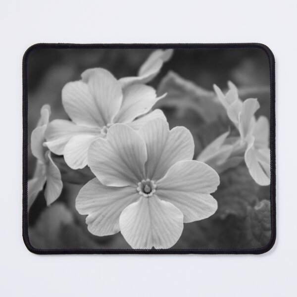 Item preview, Ethereal Primrose: A Study in Soft Monochrome designed and sold by ShaneJayGB.