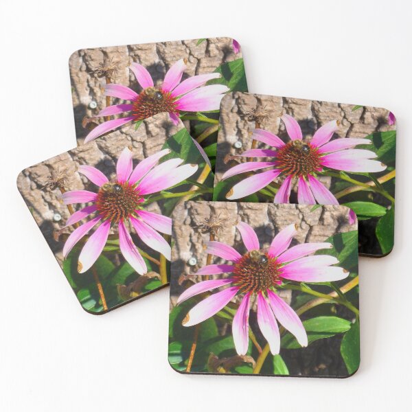 Item preview, Bee on Pink Coneflower designed and sold by KalmKreationz.