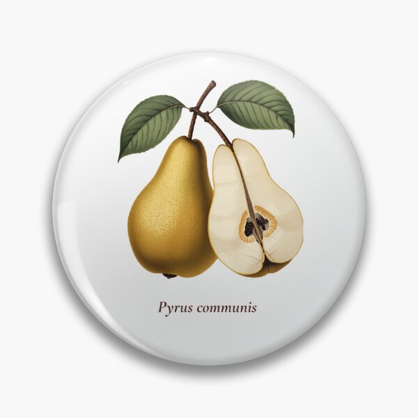 Item preview, Pear Botanical T-Shirt | Pyrus communis Vintage Illustration | Fruit Lover Gift designed and sold by Panom Suavichien.