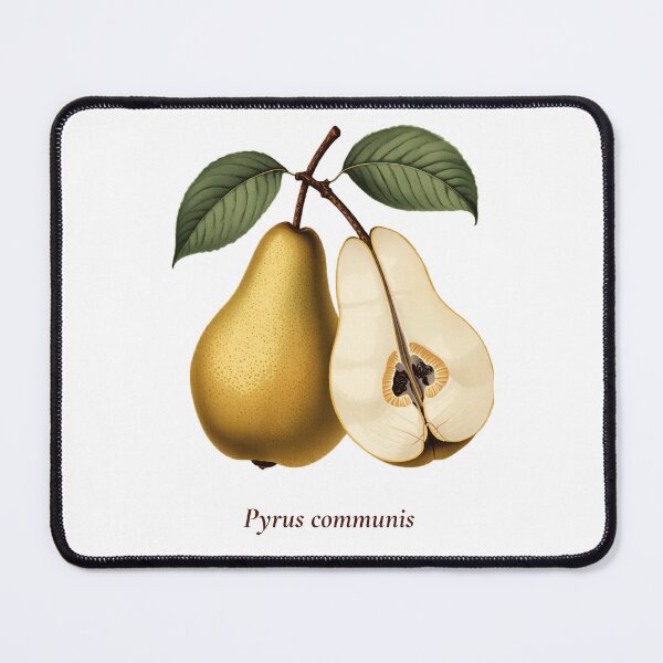Item preview, Pear Botanical T-Shirt | Pyrus communis Vintage Illustration | Fruit Lover Gift designed and sold by Panom Suavichien.