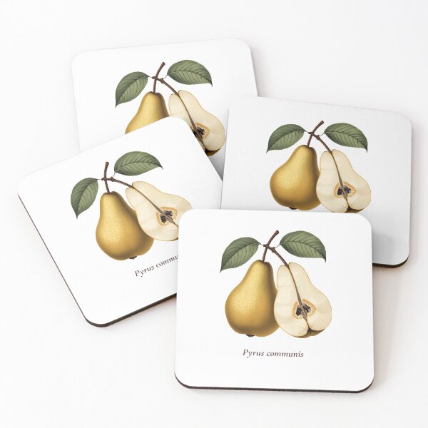 Item preview, Pear Botanical T-Shirt | Pyrus communis Vintage Illustration | Fruit Lover Gift designed and sold by Panom Suavichien.