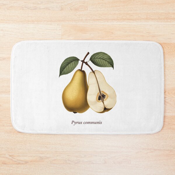 Item preview, Pear Botanical T-Shirt | Pyrus communis Vintage Illustration | Fruit Lover Gift designed and sold by Panom Suavichien.