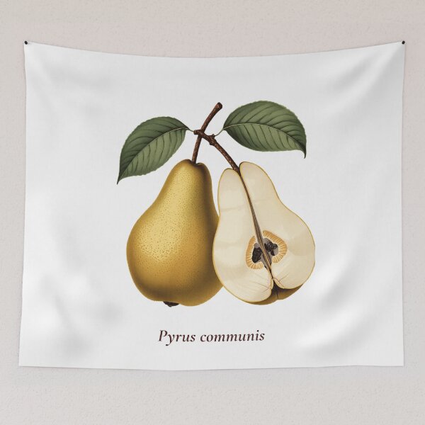 Item preview, Pear Botanical T-Shirt | Pyrus communis Vintage Illustration | Fruit Lover Gift designed and sold by Panom Suavichien.