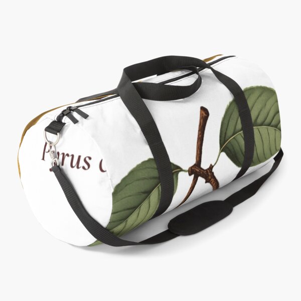 Item preview, Pear Botanical T-Shirt | Pyrus communis Vintage Illustration | Fruit Lover Gift designed and sold by Panom Suavichien.