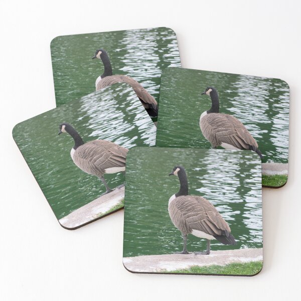 Item preview, Canada Goose and Double-crested Cormorant Staring at The Water designed and sold by BackyardBirder.