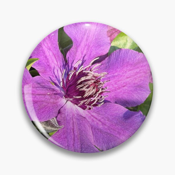 Item preview, Purple Clematis Flower designed and sold by KalmKreationz.