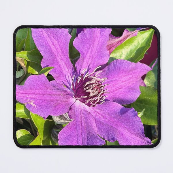 Item preview, Purple Clematis Flower designed and sold by KalmKreationz.