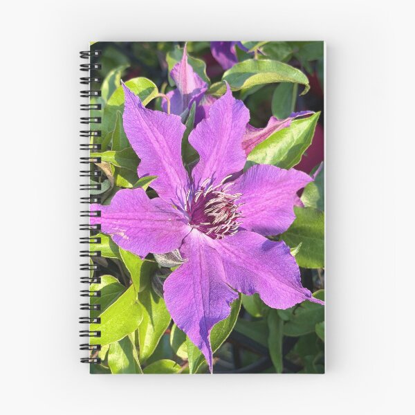Item preview, Purple Clematis Flower designed and sold by KalmKreationz.